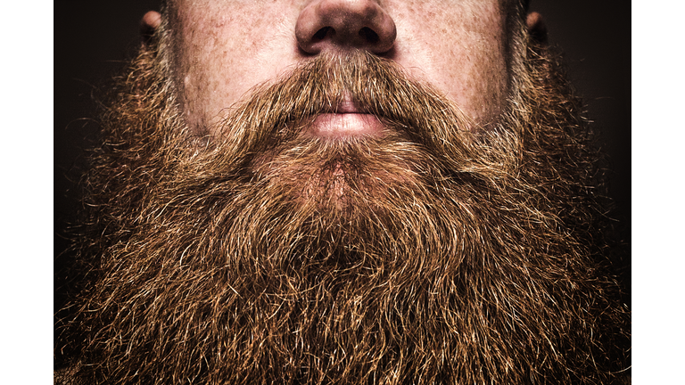 Big Bearded Man Portrait