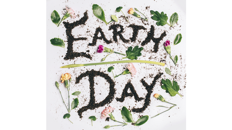 Earth day text made with soil amidst flowers and leaves on white background
