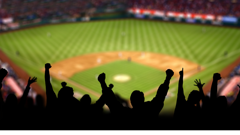Baseball Excitement