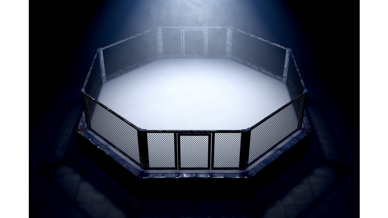 MMA Ring