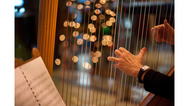 Healing & Harps / Subtle Energy & Spirits