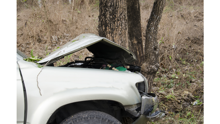 car crash tree