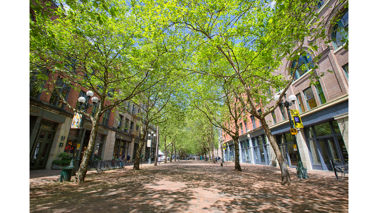 Occidental Avenue in Springtime Pioneer Square