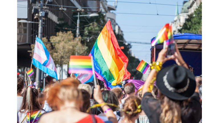 Crowd raising and holding rainbow gay flags during a Gay Pride. Trans flags can be seen as well in the background. The rainbow flag is one of the symbols of the LGBTQ community