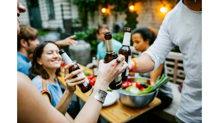 Group Of Friends Meeting Up For Barbecue Make A Toast