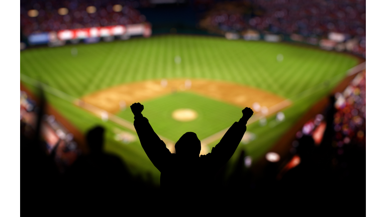 Baseball Excitement