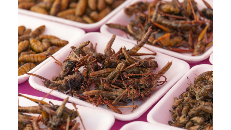 Plates of insects for sale in market