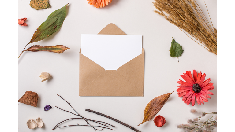 Paper card in envelope composed with autumn dry plants