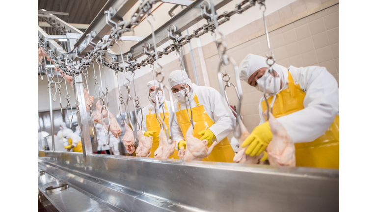Workers at a food factory