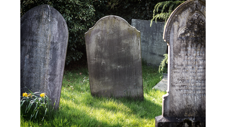 Blank gravestone in graveyard. Old, decayed and grunge, ready for text. Trees and bushes in background.