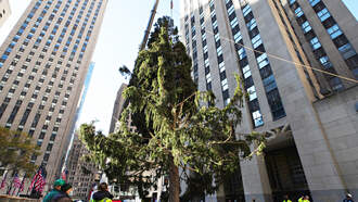 The Rockefeller Center Christmas Tree Slaps Back At Twitter Haters