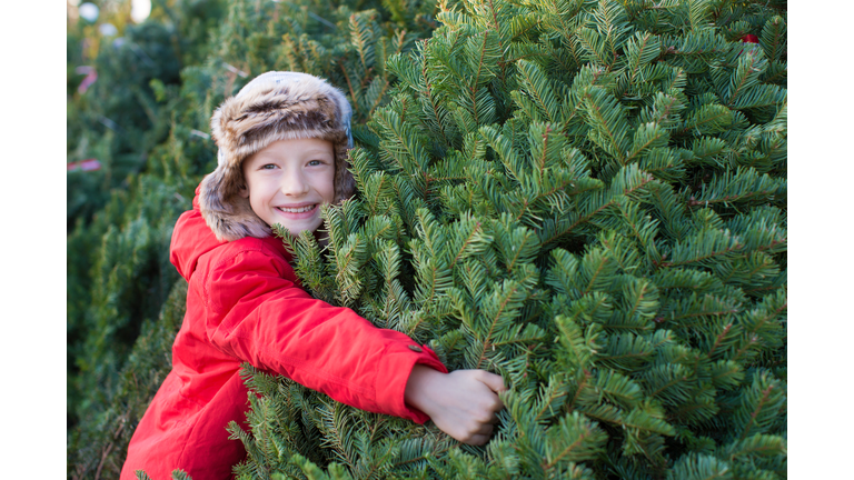 family buying christmas tree