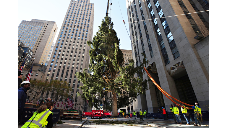 2020 Christmas Tree Delivered To Rockefeller Center For Holiday Season