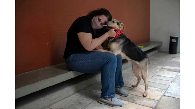 Manatee County Animal Services Waiving All Adoption Fees Through Jan. 5