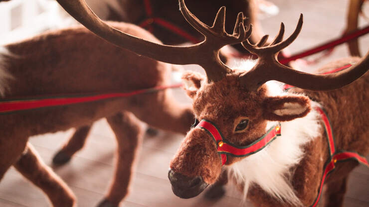 The Forgotten History of 'Rudolph the Red Nosed Reindeer ... - 740 x 416 jpeg 42kB