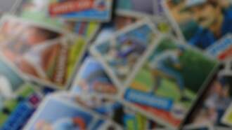 Vernon PAL Card Show 2