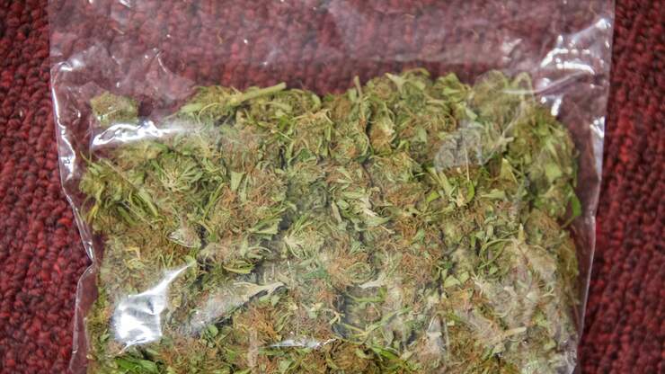 Florida Man Sentenced to 90 Years for Weed Trafficking Released from