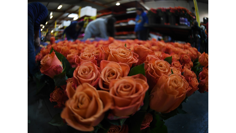 US-HOLIDAY-ROSE-PARADE