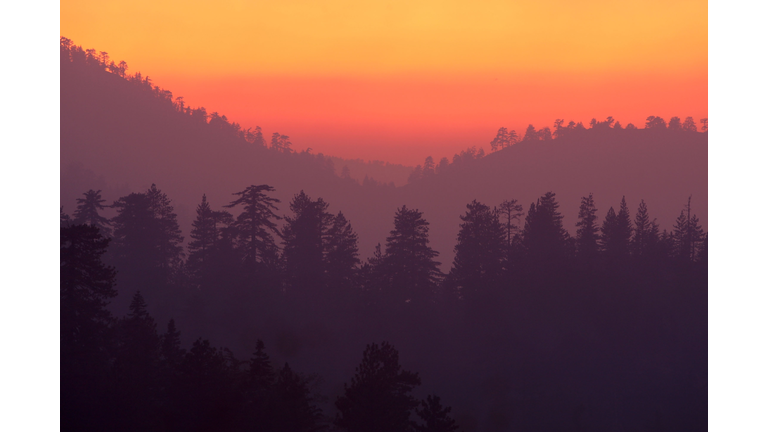 The Station Wild Fire Spreads To Over 100,000 Acres North Of Los Angeles