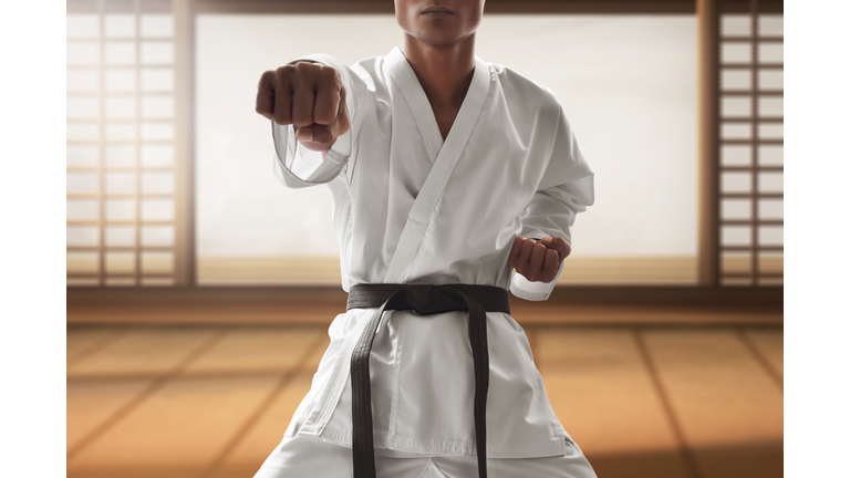 Karate martial arts fighter training