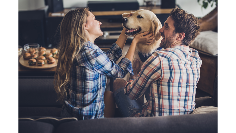 Happy couple enjoying with their golden retriever in the living room.