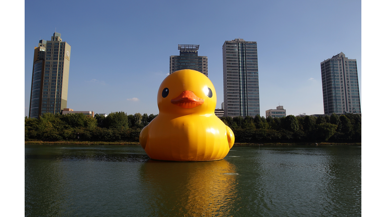 Giant Yellow Rubber Duck Exhibited In Seoul