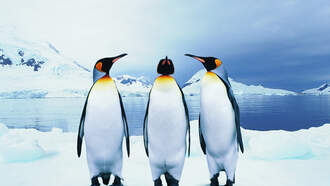 Random Fact of The Day!