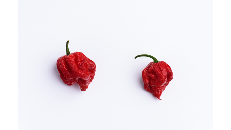 Carolina Reaper Chilli Pepper on white