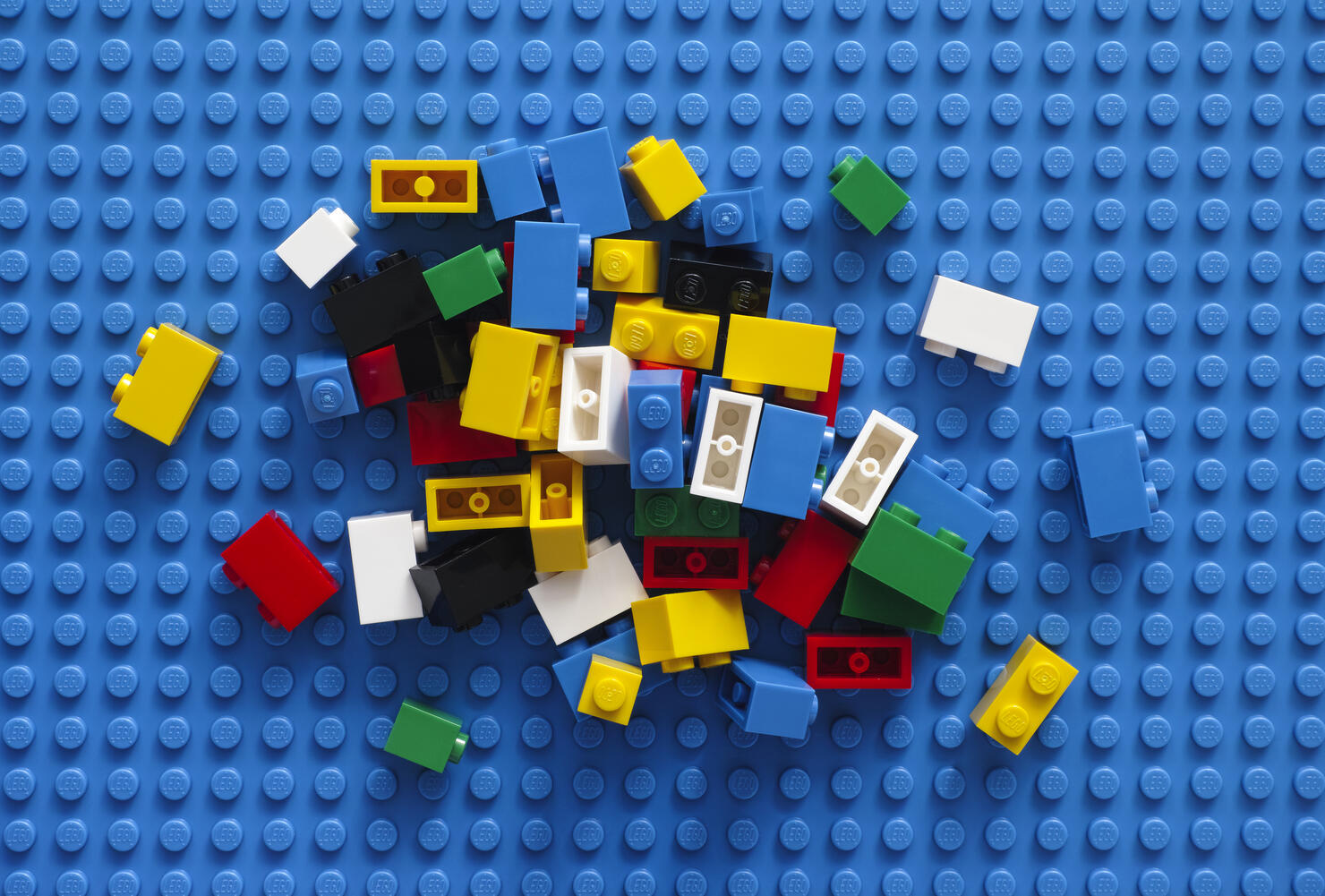 Lego Blocks on blue baseplate