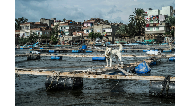 EGYPT-NILE