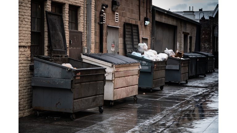 Trash Dumpsters