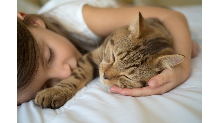 Child sleeping with cat