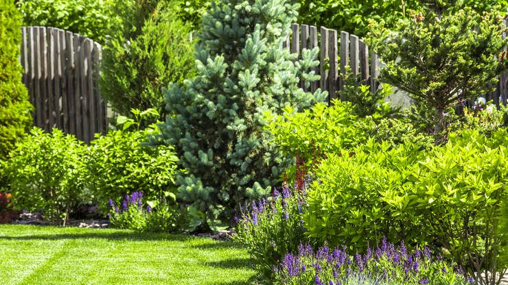 Reimagining Landscape | KFI AM 640