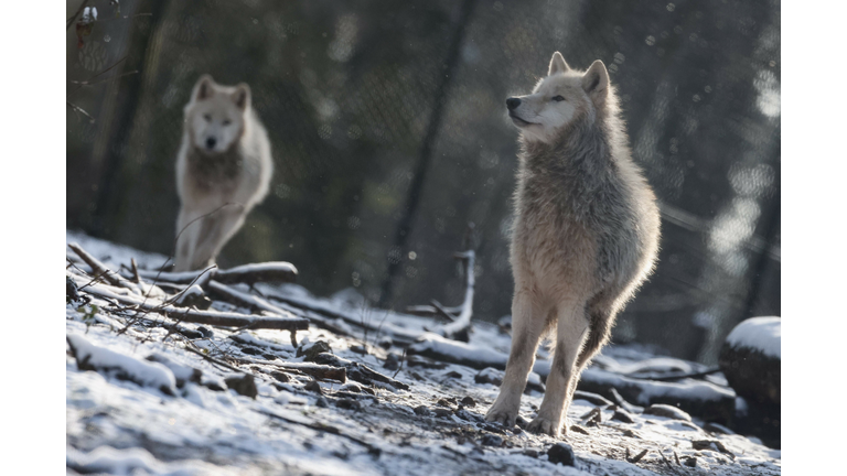 BELGIUM-NATURE-WEATHER-PARK-HEALTH-VIRUS