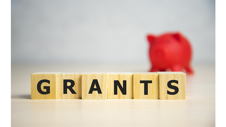 the word of GRANTS on building blocks concept