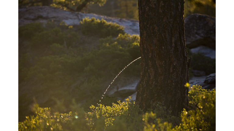 Outdoor adventure road trip in California.