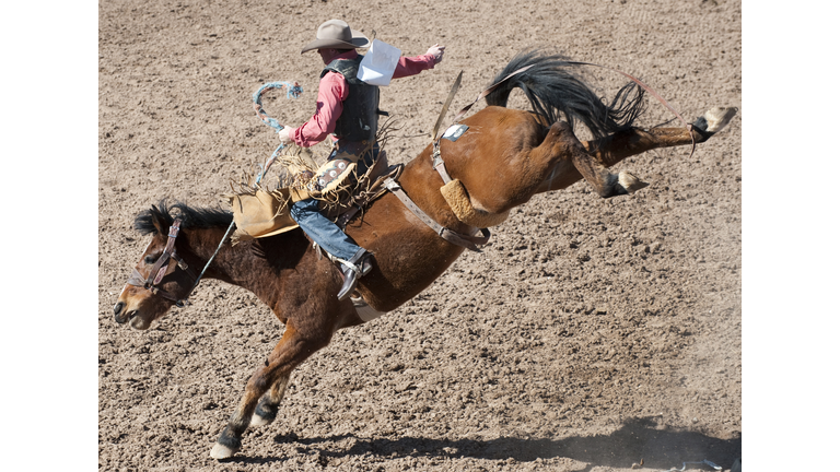 Travis Sheets rides in the saddle bronc