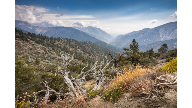 View of San Gabriel River Basin from Inspiration Point