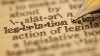 New Health and Animal Protection Laws Go into Effect in Florida Jan. 1