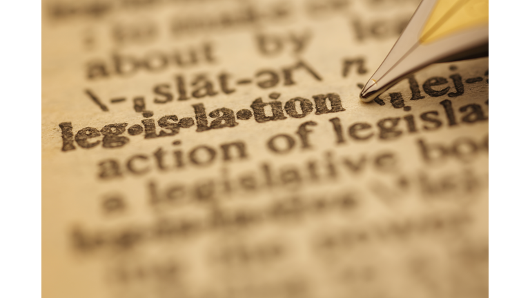 Dictionary Series : Legislation