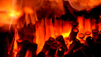 Criminally Insane / Oswald & Ferrie