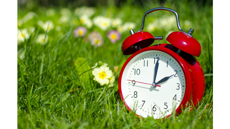 Symbolic alarm clock sitting in a flowerbed for time change to daylight saving time