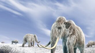 The Ambitious Plan to Revive the Woolly Mammoth by 2028