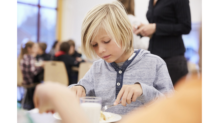 Boy having lunch in school cafeteria