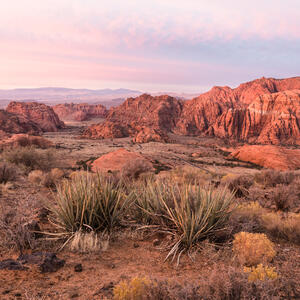 The American Southwest