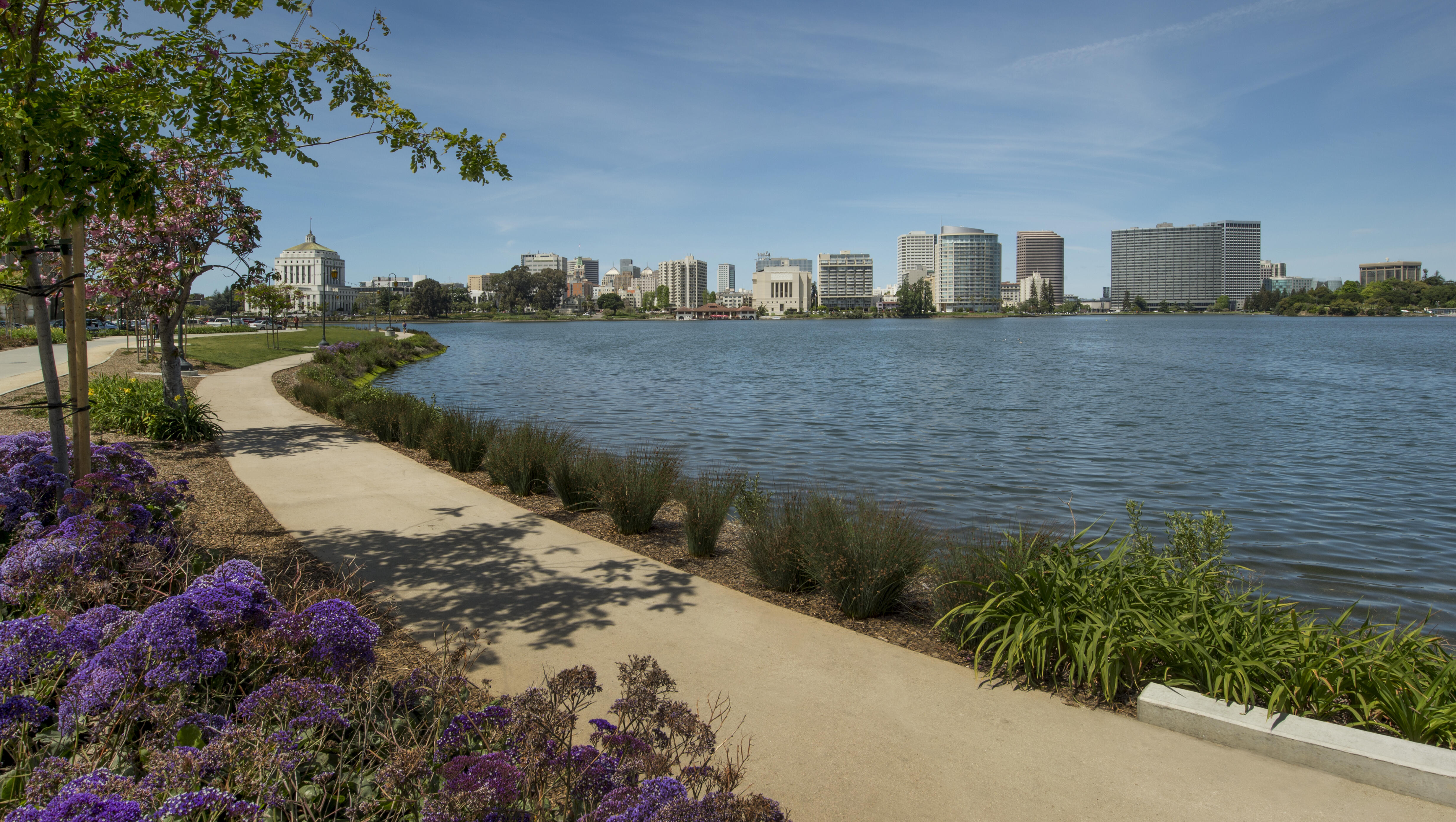 Couple Spotted Swimming In Lake Merritt.