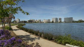 Couple Spotted Swimming In Lake Merritt.