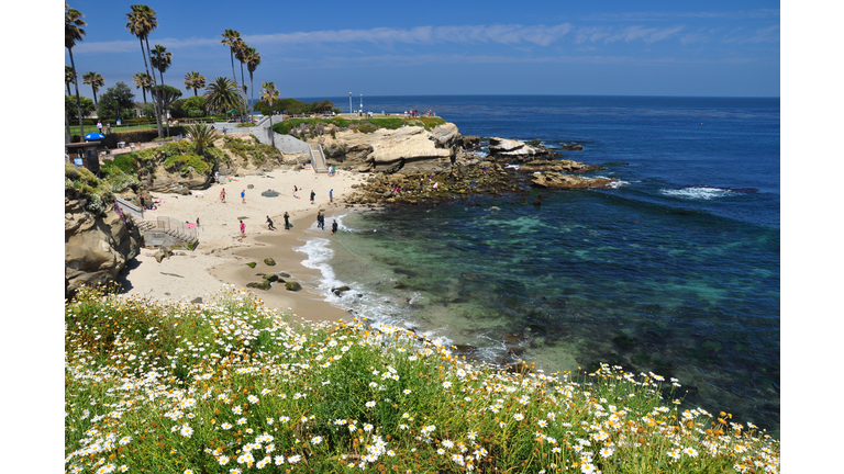 La Jolla Cove Beach at San Diego