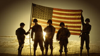 Vet Illnesses / Cover-Ups