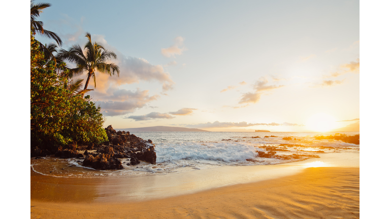 tropical sunset beach hawaii
